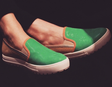 Introduction to Kozangian